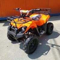 купить Квадроцикл STALKER 50 в Москве - фото 