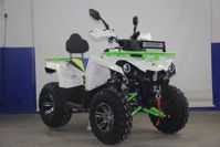 купить Квадроцикл AVANTIS Forester 200 в Москве - фото 