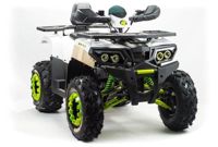 купить Квадроцикл MOTOLAND ATV 200 Wild Track в Москве - фото 