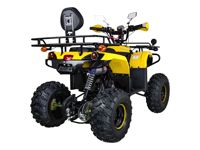 купить Квадроцикл AVANTIS Patriot Lux в Москве - фото 