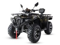 купить Квадроцикл MOTAX Grizlik 300 в Москве - фото 