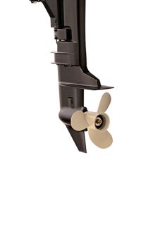 купить 2х-тактный лодочный мотор WATERMAN T8 BMS в Москве - фото 