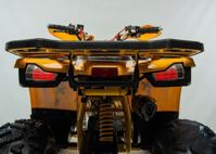 купить Квадроцикл MOTOLAND 125 Wild (2021 Г.) в Москве - фото 