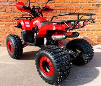 купить Квадроцикл MOWGLI Bold 8+ в Москве - фото 