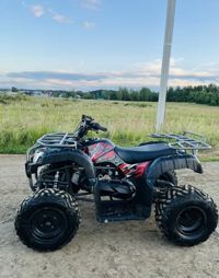 купить Квадроцикл IRIDE WOLF 200 Б/У в Москве - фото 