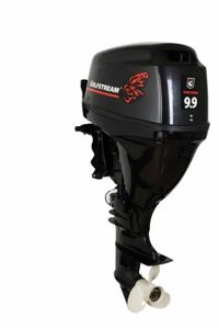 купить 4х-тактный лодочный мотор GOLFSTREAM F 9.9 FWS в Москве - фото 