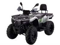 купить Квадроцикл AVANTIS ATV 300 Lux в Москве - фото 