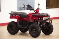 купить Квадроцикл UNIVERSAL Hammer 2 (200) в Москве - фото 