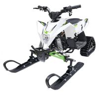 купить Снегоход MOTAX Gekkon в Москве - фото 