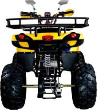 купить Квадроцикл AVANTIS Patriot M в Москве - фото 