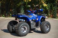 купить Квадроцикл AVANTIS Hunter 8 New Premium в Москве - фото 