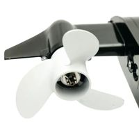 купить 2х-тактный лодочный мотор MESAN 4.0 в Москве - фото 