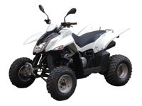купить Квадроцикл SYM QuadRaider 300 SS в Москве - фото 