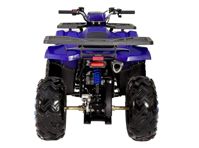 купить Квадроцикл SHARMAX 240CC Cross в Москве - фото 