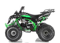 купить Квадроцикл MOTAX ATV Raptor-LUX 125 cc в Москве - фото 
