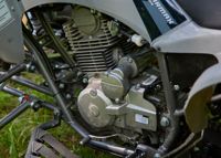 купить Квадроцикл SHARMAX Raizer Race Cup 250 в Москве - фото 