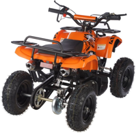 купить Квадроцикл MOTAX ATV Mini Grizlik X-16 (э/с) Big Wheel в Москве - фото 