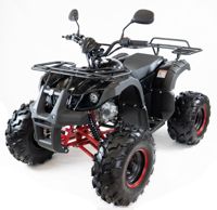 купить Квадроцикл MOTAX ATV Grizlik-8 125 в Москве - фото 