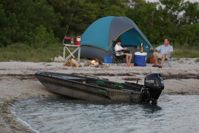 купить 4х-тактный лодочный мотор TOHATSU MFS 30 EPS в Москве - фото 