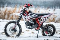 купить Мотоцикл питбайк SHARMAX PowerMax 125 (2024) в Москве - фото 