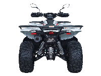 купить Квадроцикл ACCESS AMX600 Long Base (ПСМ) в Москве - фото 