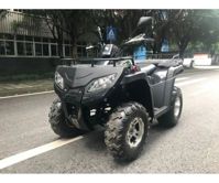 купить Квадроцикл RATO RT 250 ST LD в Москве - фото 