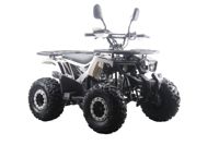 купить Квадроцикл MOTAX ATV Grizlik Premium 125cc в Москве - фото 