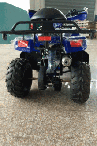 купить Квадроцикл ATV Atomik Sport в Москве - фото 