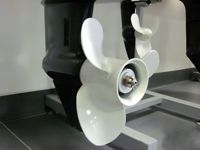 купить 2х-тактный лодочный мотор GOLFSTREAM T 15 BMS Б/У в Москве - фото 