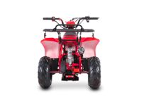 купить Квадроцикл SHARMAX 130 Cross в Москве - фото 