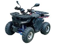 купить Квадроцикл ATV Hammer 125 Cast Wheels в Москве - фото 