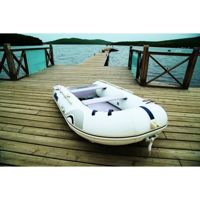 купить Лодка ПВХ STORMLINE Active 310 в Москве - фото 