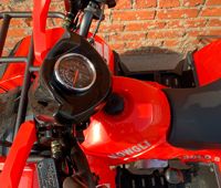 купить Квадроцикл MOWGLI Bold 8+ в Москве - фото 