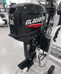 купить 2х-тактный лодочный мотор ГЛАДИАТОР G30FES в Москве - фото 
