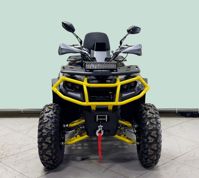 купить Квадроцикл BISON ATV 250F в Москве - фото 
