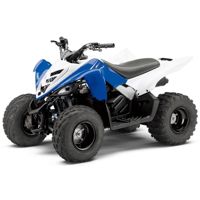 купить Квадроцикл YAMAHA YFM90R (Raptor 90) в Москве - фото 