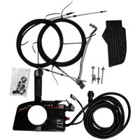 купить 4х-тактный лодочный мотор PARSUN F9.9AFWS-EFI в Москве - фото 