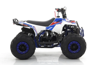 купить Квадроцикл MOTAX Grizlik A110 в Москве - фото 