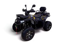 купить Квадроцикл MOTAX Grizlik W200 LUX в Москве - фото 