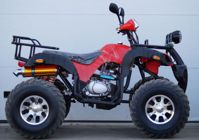 купить Квадроцикл STALKER 250 Lux в Москве - фото 