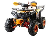 купить Квадроцикл MOTOLAND ATV 125 Raptor New в Москве - фото 