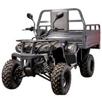 купить Квадроцикл YACOTA Slogger в Москве - фото 