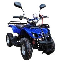 купить Квадроцикл RAPTOR Max Pro 49cc (2024) в Москве - фото 