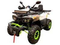 купить Квадроцикл TAO MOTOR ATV 200 Pro в Москве - фото 