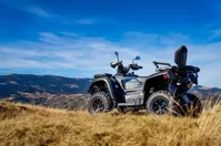 купить Квадроцикл TGB Blade 600 LTX EPS (ПСМ) в Москве - фото 