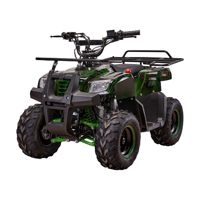 купить Квадроцикл YACOTA Smarty 110 в Москве - фото 