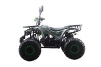 купить Квадроцикл MOTAX ATV Grizlik Premium 125cc в Москве - фото 
