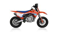 купить Мотоцикл APOLLO RXF Mini 50E Auto PITBIKE в Москве - фото 