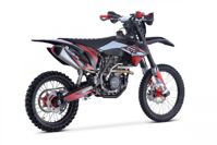 купить Мотоцикл кроссовый эндуро ROCKOT ZX300 Red Fury в Москве - фото 
