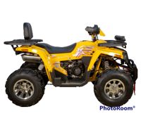 купить Квадроцикл AVANTIS Hunter 200 BIG Premium (Баланс. вал) в Москве - фото 